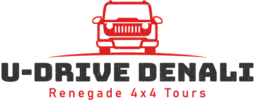U Drive logo on white